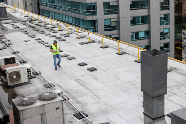 Best Asphalt Shingle Roofing  in Temple, PA