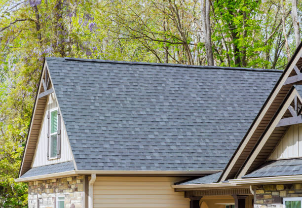 Best Rubber Roofing (EPDM, TPO)  in Temple, PA